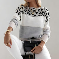 Donna | Leopard Print Colorblock Crewneck Sweater